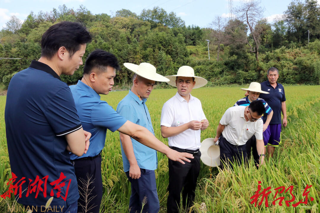 杨卫平来邵东市指导防旱抗旱工作_邵阳头条网